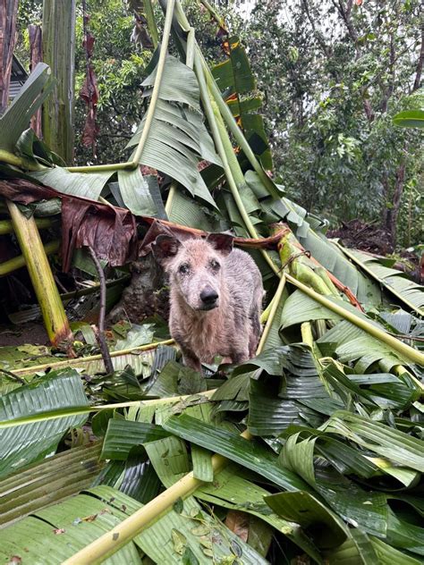 Elena Ann Mallari Quilantang