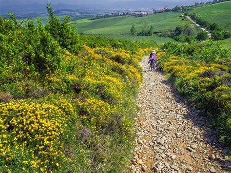 L Ultime Aventure De Trekking Du Camino De Santiago En Espagne