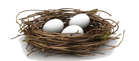 Nest Png Hd Png All