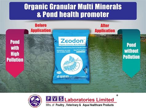 Zeolite Granules 20Kg For Aquaculture Only At Rs 1380 Kg In Balasore