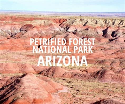 How to Visit Petrified Forest National Park Arizona in One Day