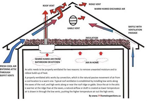 Proper Attic Ventilation Tips | Attic ventilation, Ventilation, Ridge vent