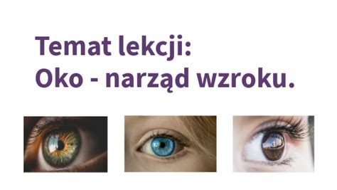 Oko Narząd Wzroku