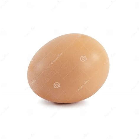 Single Egg Isolated On White Stock Photo Image Of Ellipse Healthy