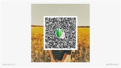 The 36 Best Snapseed QR Codes Presets Gridfiti