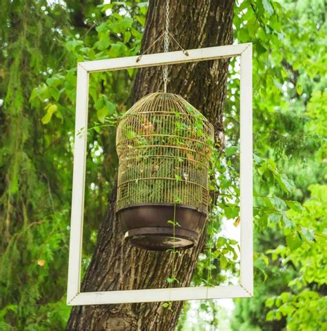 Bird Cage Planters Tutorial Plus Decorative Birdcage Planter Ideas