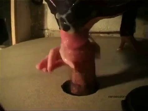 Free Glory Hole Cumshot Porn Videos XHamster
