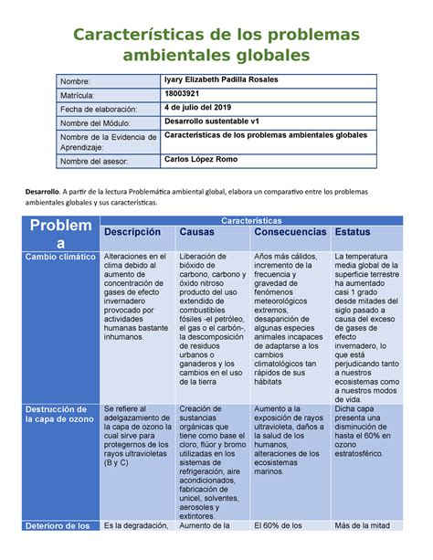 Cuadro Sin Ptico Problemas Ambientales Caracter Sticas De Los