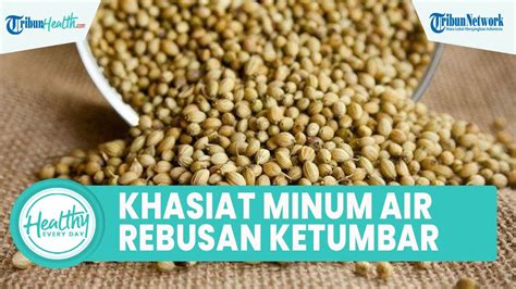 Khasiat Minum Air Rebusan Biji Ketumbar Untuk Kesehatan Tubuh Bisa