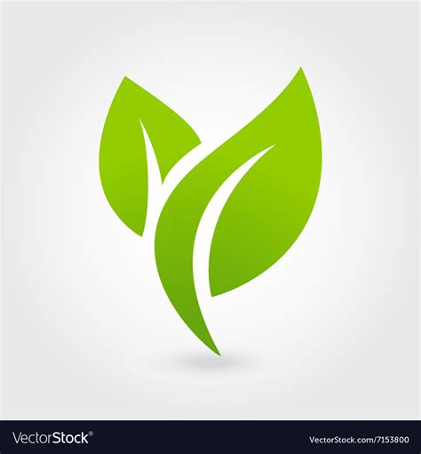 Eco Icon Green Leaf Isolated Royalty Free Vector Image