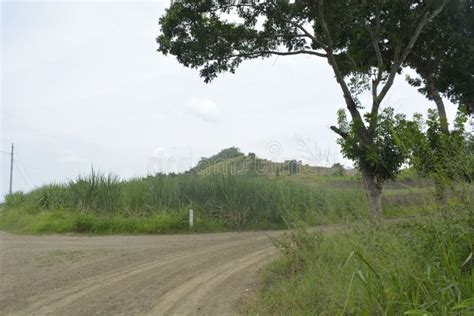 Nice Scenery In Mahayahay Hagonoy Davao Del Sur Philippines Stock