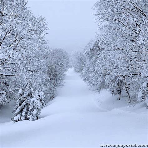 Hiver définition et explications