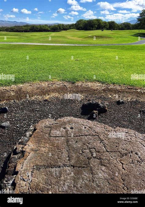 Hawaiian petroglyphs along the Fairmont Orchid golf course at Puako on the Big Island of Hawaii ...