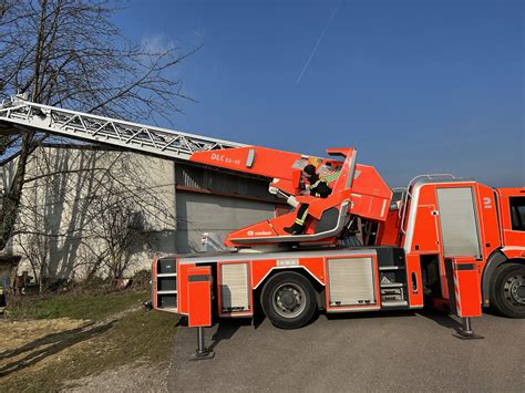 Ungewöhnlicher Feuerwehreinsatz Fledermäuse bekommen ihren eigenen