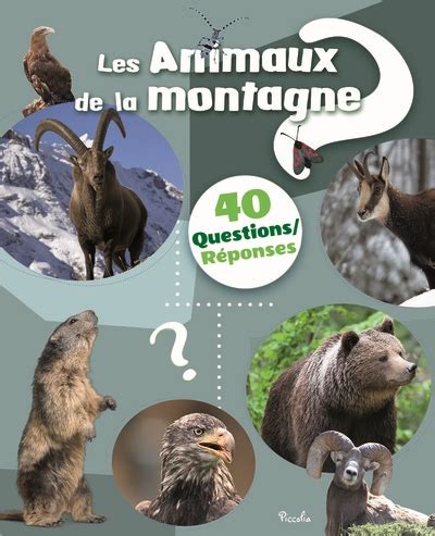 Les Animaux De La Montagne Questions R Ponses