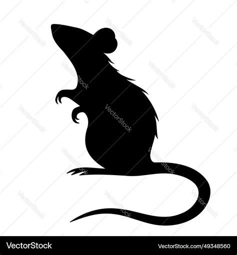 Rat Silhouette Isolated On White Background Vector Image