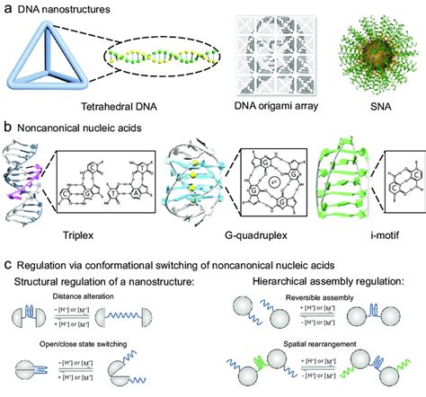 Dynamic Regulation Of Artificial Dna Nanostructures With Noncanonical