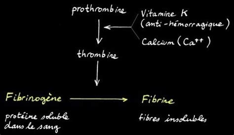 Coagulation