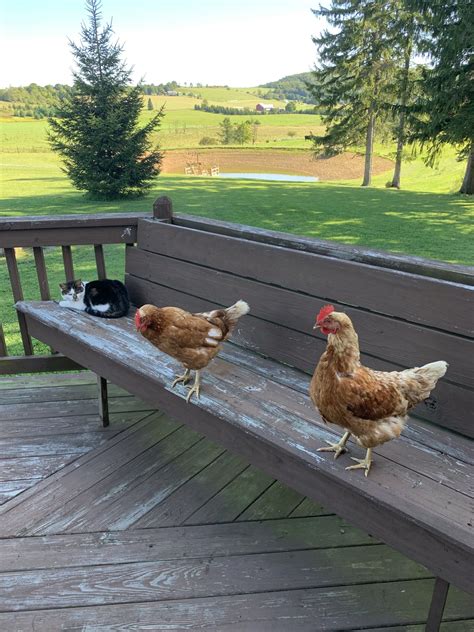 This hidden Catonsvillemd park is perfect for a weekend getaway