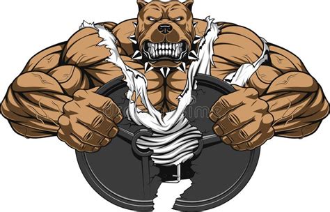 Pitbull Bodybuilder Stock Illustrations 61 Pitbull Bodybuilder Stock