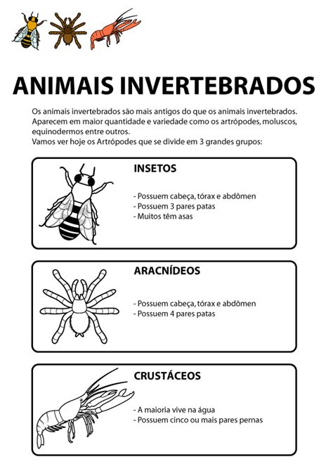 Animais Vertebrados E Invertebrados Atividades Educa O Online