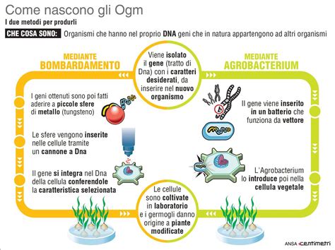 AGRICOLTURA E BIOTECNOLOGIE