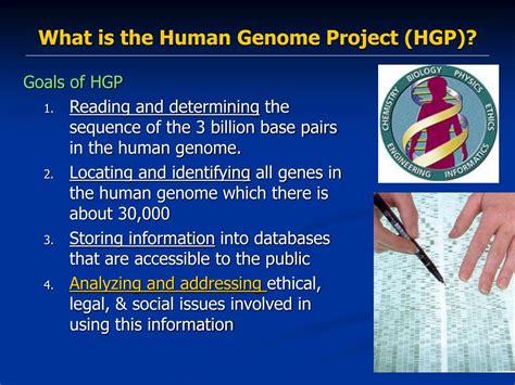 Ppt Human Genome Project Stem Cells And Cloning Powerpoint Presentation Id5915954