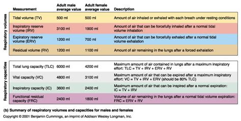 Lung Capacity Chart Buymiragej