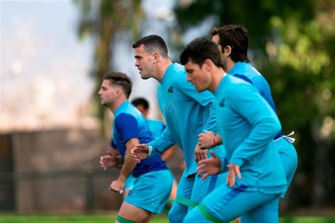 Los Pumas Arrancan Su Ilusión En El Rugby Championship Frente A