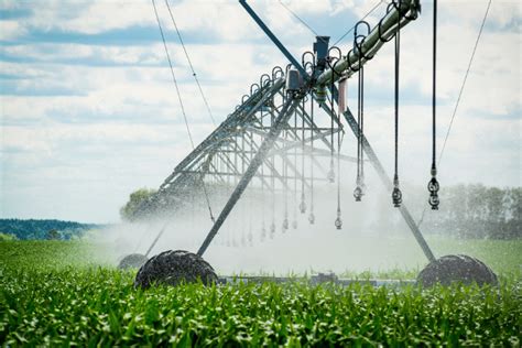 Sorriso Bandidos invadem fazenda furtam cabos de pivô de irrigação e