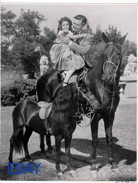 Gone With The Wind Clark Gable Vintage Photo Pferdeliebe Hübsche