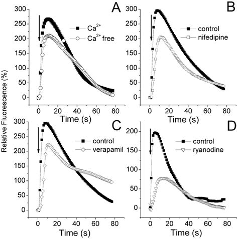 Role Of External Ca Dhpr And Ryr In Igf I Induced Calcium