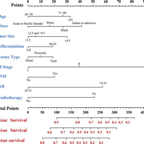 Nomogram For The Prediction Of 1 3 And 5 Year Css Rates Of Elderly Download Scientific