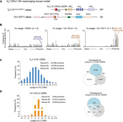 An Antibody From Single Human Vh Rearranging Mouse Neutralizes All Sars