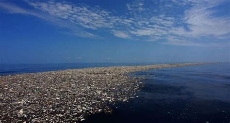 La isla de basura en el Caribe de Honduras MUNDO EL COMERCIO PERÚ