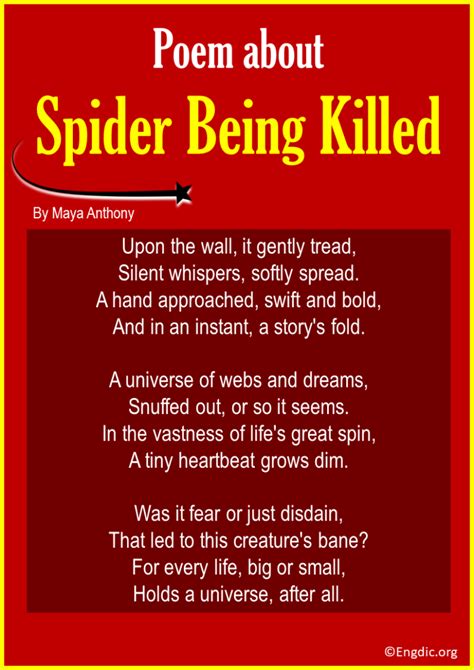 15 Best Short Poems About Spider Engdic