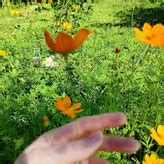 Ariel Chibiusa Alicechibiusa Nude OnlyFans Leaks Fappening FappeningBook