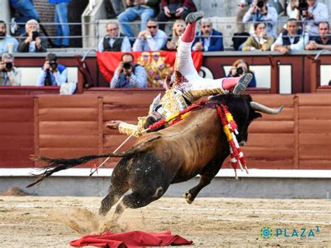 Mario Alcalde: 'Luxación acromioclavicular derecha y contusión en el brazo izquierdo ...