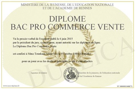 Diplome Bac Pro Commerce Vente