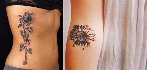 Tatoo Girassol Na Costela Best Succulent Ideas