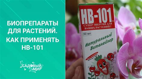Активатор жизни растений HB-101. Как правильно применять этот ...