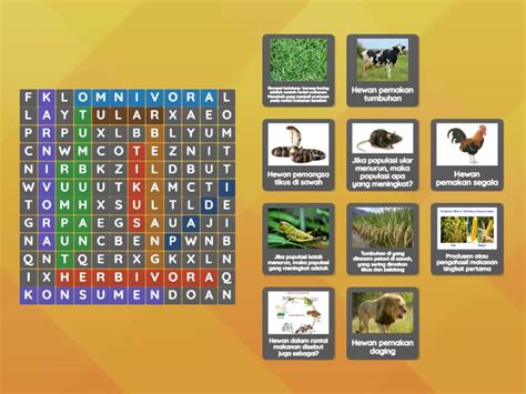 Teka Teki Silang Rantai Makanan Dengan Gambar Wordsearch