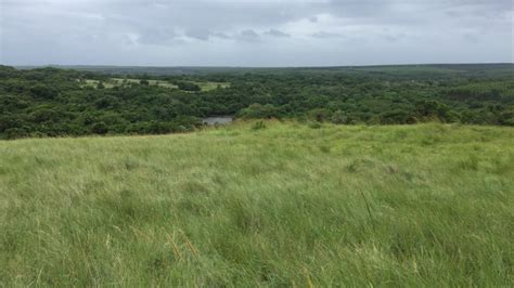 Southern Zululand Richards Bay Enseleni Nature Reserve Gobirding