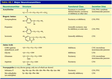 New Type of Neuroplasticity involving changes in neurotransmitters