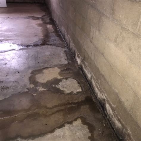 Basement Moisture And Its Impact Detroit Mi Basement Waterproofing Sterling Heights