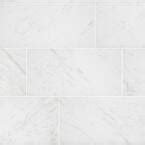 Florida Tile Home Collection Brilliance White Matte In X In