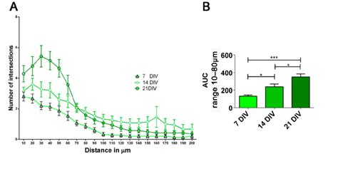 Morphological Analysis On HiPSC Derived Neurons A Sholl Analysis