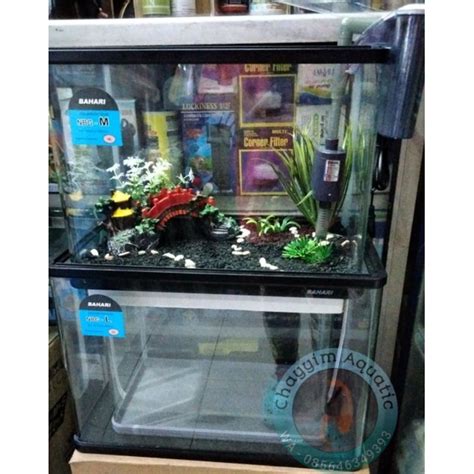 Jual Aquarium Akuarium Bahari S M L Kecil Besar 32 36 41 Siku