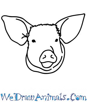 How To Draw A Pig's Face - Clockscheme Spmsoalan