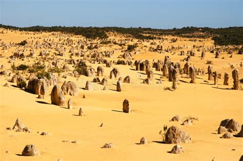 The Pinnacles - Australia stock photo. Image of erect - 90529174